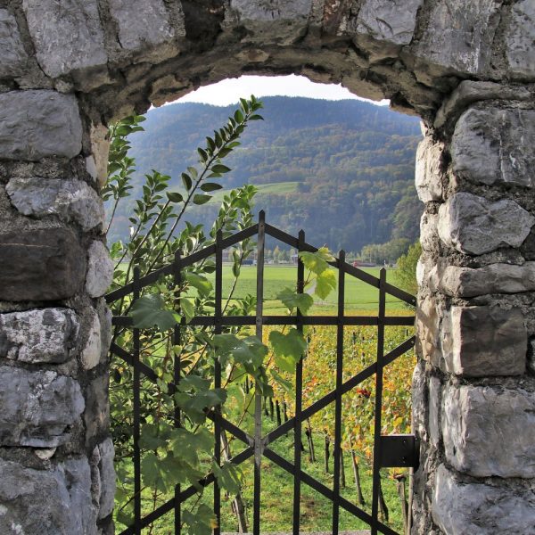 Experiences 3 cancello_barbaterre